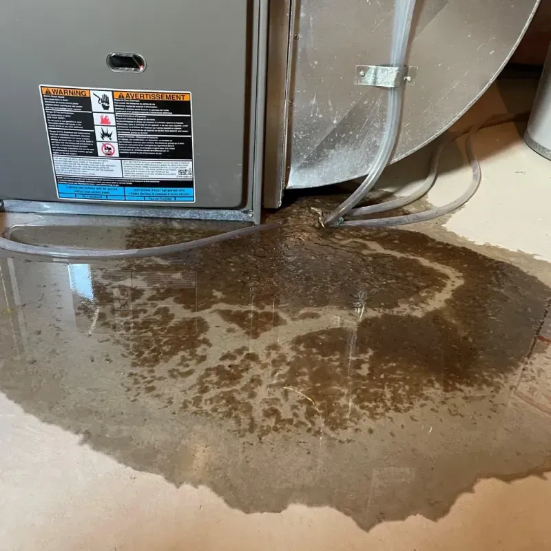 Appliance Leak Cleanup in Clarksville, VA